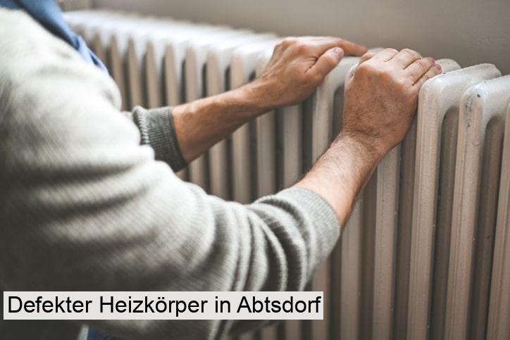 Defekter Heizkörper in Abtsdorf